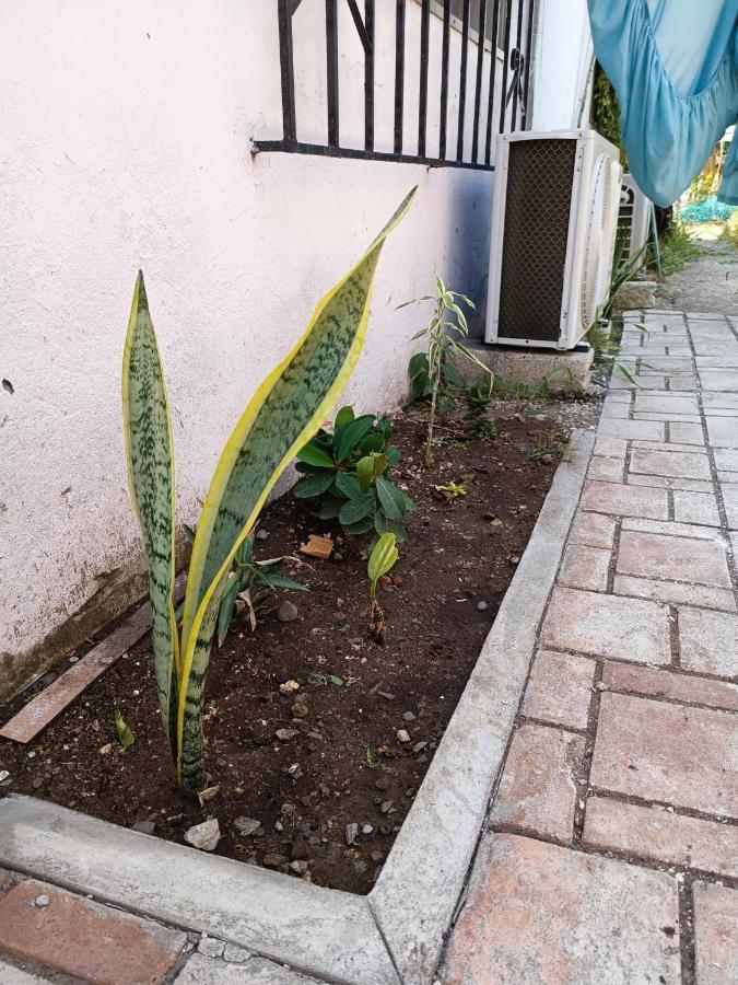 Hostal A 10 Min Del Centro De Veracruz Ngoại thất bức ảnh